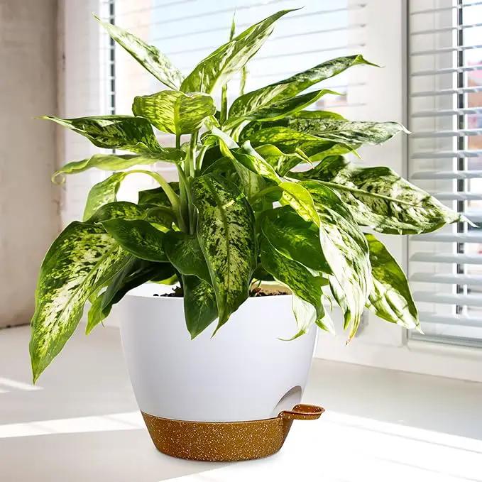 10/9/8 inch Medium Self Watering Pots, Planter, Plant Pots with Mesh Drainage Holes for Indoor Outdoor Garden Plants, Plastic Flower Pots with Removable Deep Reservoir, White with Brown by GreenHaven Gardens