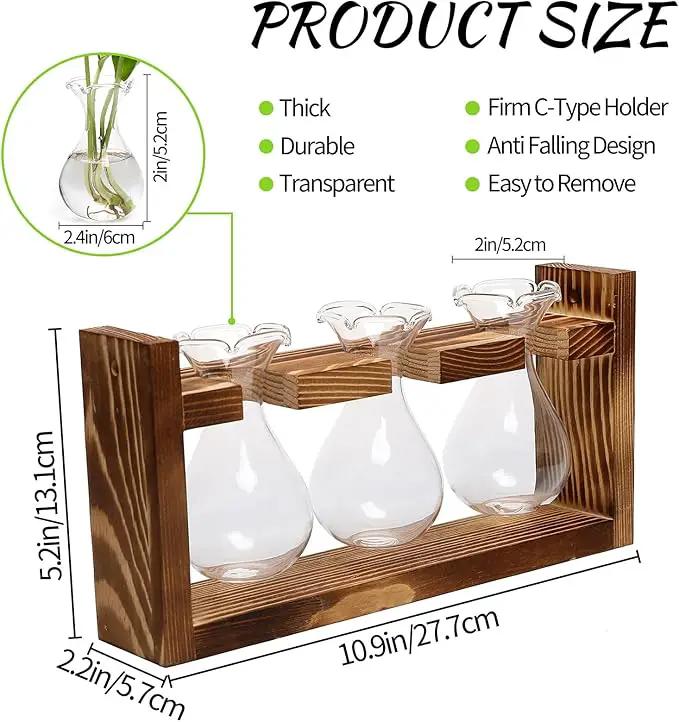 Plant Propagation Station Plant Terrarium Unique Birthday Gifts for Women Plant Lovers Home Office Decor Planter with Wooden Stand - 3 Bulb Glass Vase by GreenHaven Gardens
