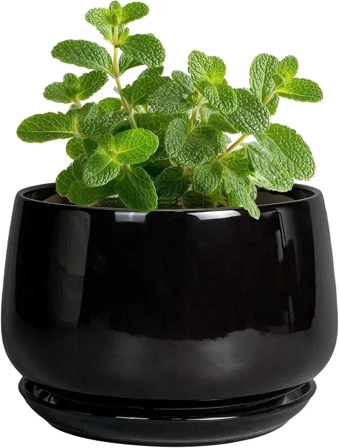 G EPGardening Small Ceramic Planter - 4 Inch Succulent Pots with Drainage Hole & Sacuer, Flower Pots for Indoor Outdoor Plants, Modern Decorative Round Planter, Room Decor, House Warming Gifts, Black by GreenHaven Gardens
