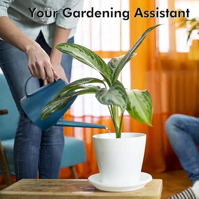 Watering Can for Indoor Outdoor Plants, Modern Small Watering Cans with Removable Nozzle, Long Spout Watering Can for Indoor Bonsai Plants Garden Flowers 1/2 Gallon 1.8L 60OZ (Dark Blue) by GreenHaven Gardens