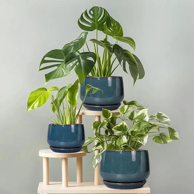 G EPGardening Ceramic Pot for Plants - Modern 7 Inch Round Planter with Drainage and Tray Indoor Outdoor for Flower, Porch Decor, Gardening Gifts, Retro Blue by GreenHaven Gardens