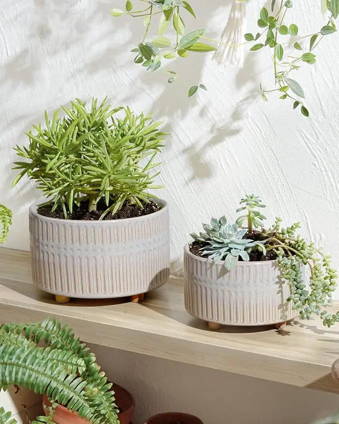 LE TAUCI Succulent Pots, 6.5+8 Inch Ceramic Indoor Plant Pot with Drainage Hole, Modern Round Decorative Flower Pot, Set of 2, Reactive Glaze Star White by GreenHaven Gardens