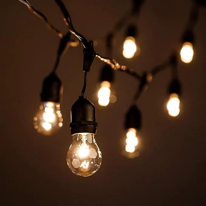 Hometown Evolution, Inc. 50 Foot E26 Outdoor Commercial String Lights with Suspended Socket for Weatherproof Heavy Duty Vintage Outside Lighting - Set of 25 A15 Clear Bulbs by GreenHaven Gardens