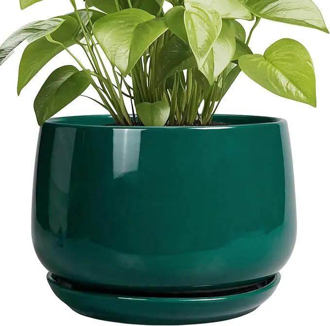 G EPGardening Ceramic Pots for Plants - 9 Inch Ceramic Planter for Indoor Plants, Round Planter with Drainage and Saucer, Modern Flower Pots for Outdoor, House Decor, Garden Gifts, Green by GreenHaven Gardens