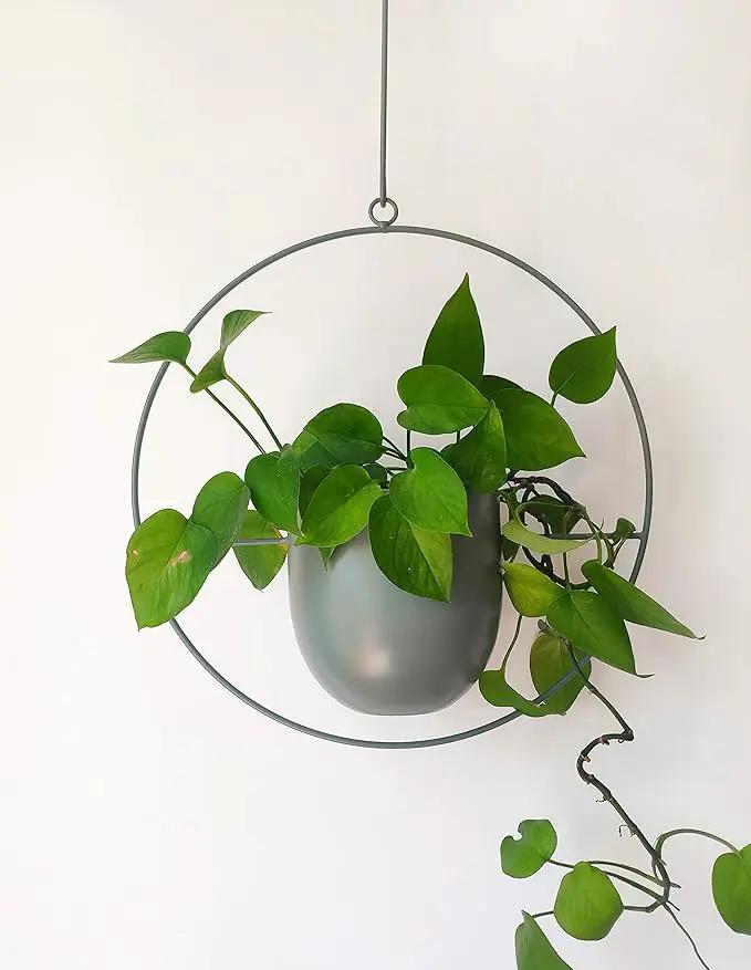 Boho Green Metal Plant Hanger,Metal Wall and Ceiling Hanging Planter, Modern Planter, Mid Century Flower Pot Plant Holder, Minimalist Planter for Indoor Outdoor Home Decor by GreenHaven Gardens