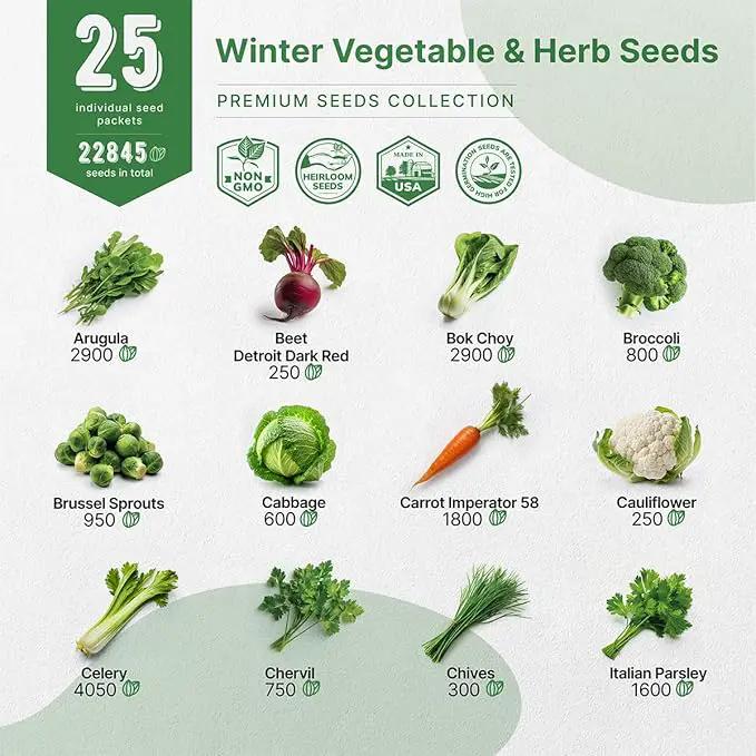 Organo Republic 25 Winter Vegetable & Herb Garden Seeds Variety Pack for Outdoors & Indoor Home Gardening 5000+ Non-GMO Heirloom Seeds Broccoli Beet Carrot Cabbage Radish Pea Mint Thyme Parsley by GreenHaven Gardens