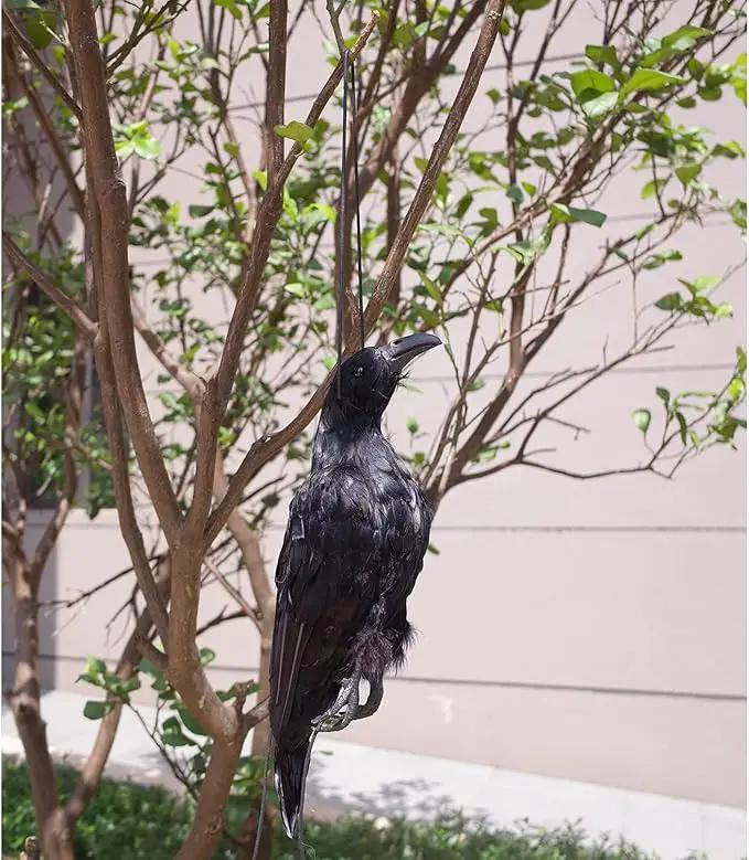 Etistta 17 inch Realistic Hanging Dead Crows Decoy Lifesize Extra Large Black Feathered Crow by GreenHaven Gardens