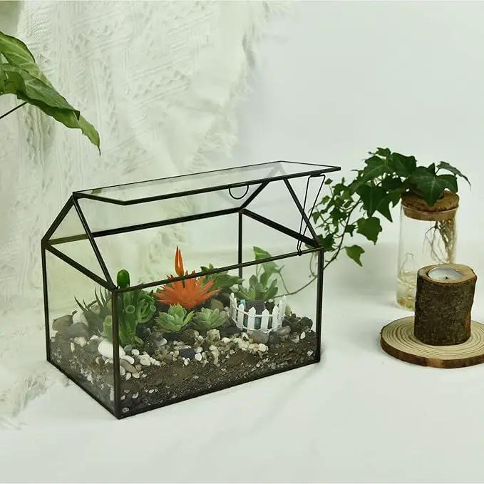 Black 1 Large Glass Plant Terrarium Kit with Lip Greenhouse for Succulents by GreenHaven Gardens