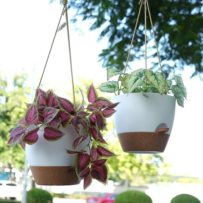 8 inch Hanging Planters, 2 Pack Self Watering Hanging Pots with 20oZ Deep Reservoir for Indoor Outdoor Plants Flowers, White with Brown by GreenHaven Gardens