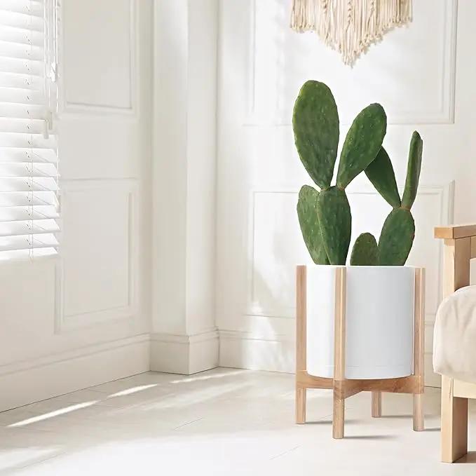 D'vine Dev Planter Pot with Stand - 12 Inch Plastic Cylinder Flower Pot with Wood Planter Holder for Indoor, Matte White Pot + Natural Stand, 55-C-P-1 by GreenHaven Gardens