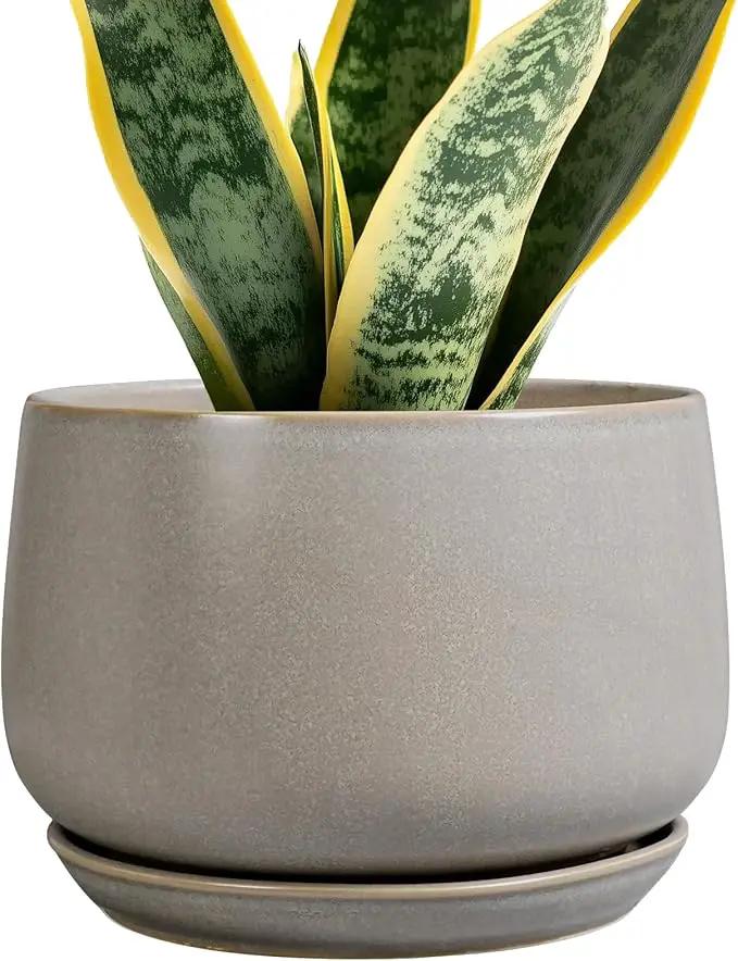 G EPGardening Ceramic Pots for Plants 7 Inch - Large Ceramic Planters for Indoor Plants Outdoor Modern Flower Pot with Drainage Holes and Saucer for Office Garden Patio Grey by GreenHaven Gardens