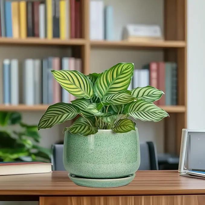 G EPGardening Ceramic Plant Pot - 7 Inch Ceramic Planter for Indoor Outdoor Plants, Flower Pot with Drainage Hole and Tray, Modern Round Planter, Plants Lovers Gifts, Home Garden Decor, Green by GreenHaven Gardens