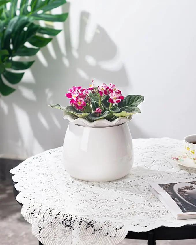 Self Watering Plant Pot, 6 Inch African Violet Pots Maintenance, Ceramic Self-Watering Planter for Indoor Plants - Ideal Flower Pot for Thriving Indoor Gardens by GreenHaven Gardens