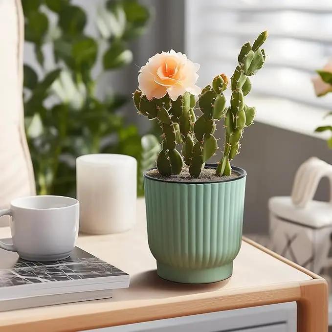 T4U African Violet Pots, 4 Inch Self Watering Pots for Indoor Plants, 6 Pack Small Planters, Durable Mint Green Plastic Small Pots for Indoor Plants, Flower by GreenHaven Gardens