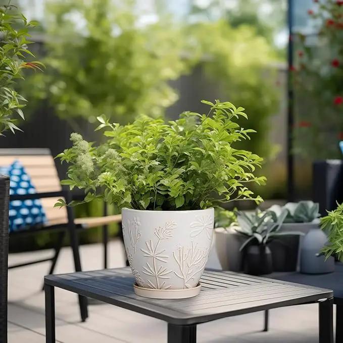6 Inch Ceramic Plant Pot for Indoor Plants Outdoor Round Planter Flower Pot with Drainage Hole and Saucer for Home Garden Office Decor White by GreenHaven Gardens