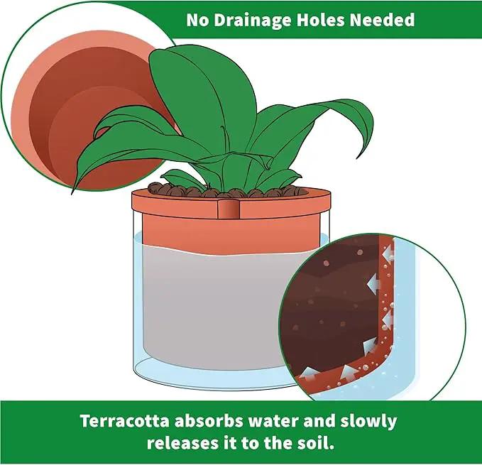 Phoenix Vine 10 Inch Self Watering Planter, White Terracotta Pot for Plants, Indoor Cylinder Terra Cotta Pot with Glass Vase by GreenHaven Gardens