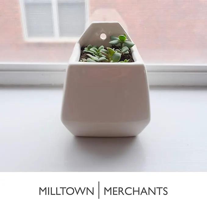 Milltown Merchants Succulent Wall Planter - Black Ceramic Planter - Succulent Plant Pot - Hanging Vase for Living Wall (1 Pack/Contemporary/White) by GreenHaven Gardens