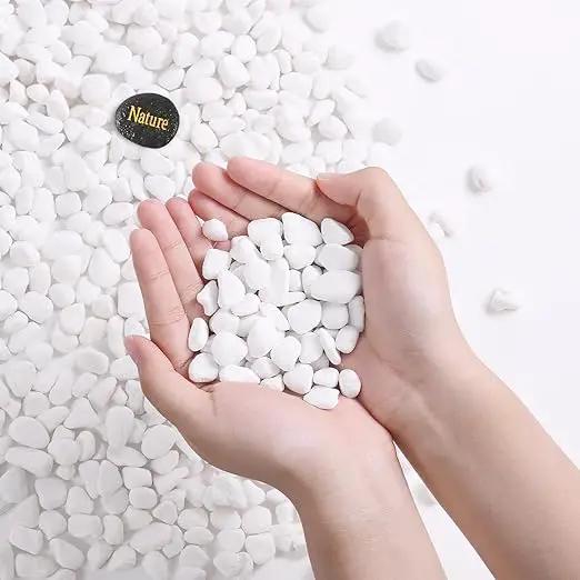 SIDONG 5 LB White River Rocks, 0.3-0.5 Inches Matte Pebbles for Indoor Plants, Aquarium Rocks Used in Fish Tank, Decorative Stones for Plants, Vases, Home Décor, Crafting, Garden Landscaping by GreenHaven Gardens