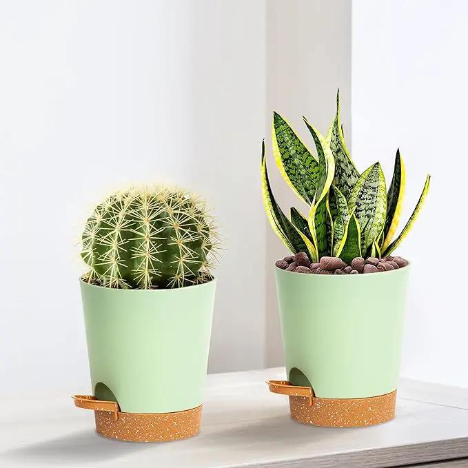 4 inch Small Plant Pots for Outdoor Indoor Plants, 5 Pack Planters with Drainage Holes and Tray, Small Self Watering Pots for Succulent,Cactus, Aloe and Other Plants (Green) by GreenHaven Gardens