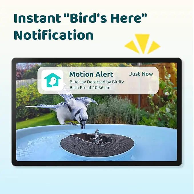 Birdfy Smart Bird Bath with Camera Solar Powered & Fountain, Dual-Lens Camera for Wildbird Watching, Auto Capture Bird Videos & Motion Detection - AI Lifetime Version by GreenHaven Gardens