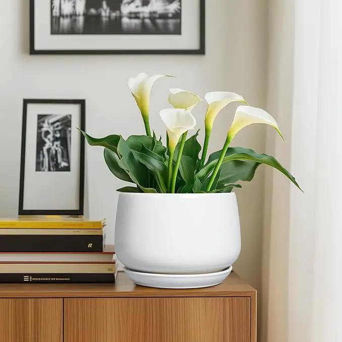 G EPGardening Ceramic Planter 9 Inch - Plant Pots with Drainage and Ceramic Saucer, Flower Pots for Indoor Plants, Modern Outdoor Planter, Living Room Decor, Gifts for Plant Lovers, White by GreenHaven Gardens