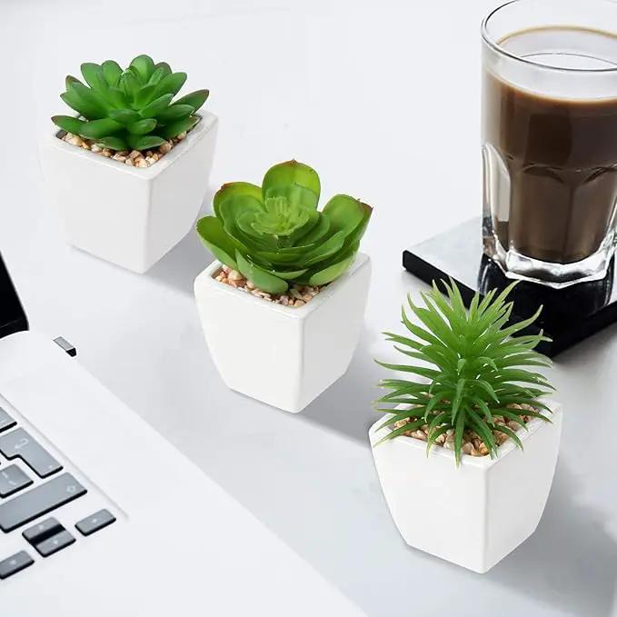 Hollyone Succulents Plants Artificial 3Pcs Small Fake Succulents in Pots Faux Plastic Potted Plants with White Ceramic Pot for Home Decor Classroom Office Bathroom Shelf Indoor & Outdoor Decorations by GreenHaven Gardens
