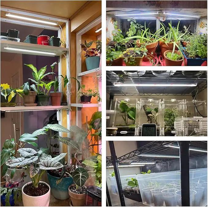 Wiaxulay Grow Lights for Indoor Plants Full Spectrum, 6000K LED Plant Grow Light Strips, Grow Lamp with Auto On/Off 6/12/16H Timer, 5 Dimmable Levels, 3 Switch Modes for Hydroponics Seedling by GreenHaven Gardens