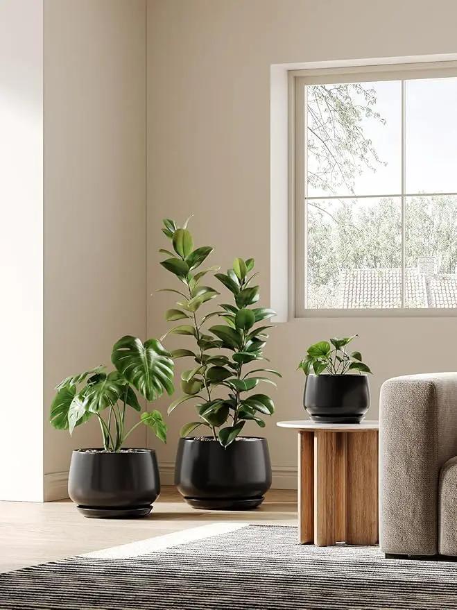 LE TAUCI Ceramic Planter, 10 Inch Plant Pot with Drainage Hole & Saucer – Durable Indoor Planter for Modern Home Decor, Black by GreenHaven Gardens