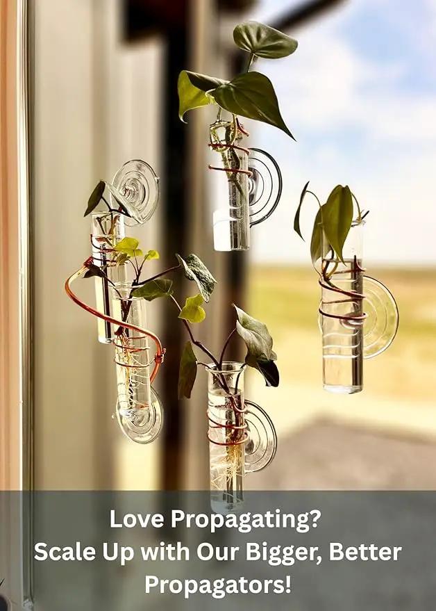 The Little Window Propagator | Window Propagation Station with Removable Glass Tubes, Indoor Plant Clippings, Cut Flowers, Herbs, Succulents | Home Decor | Plant Lover Gift (2) by GreenHaven Gardens