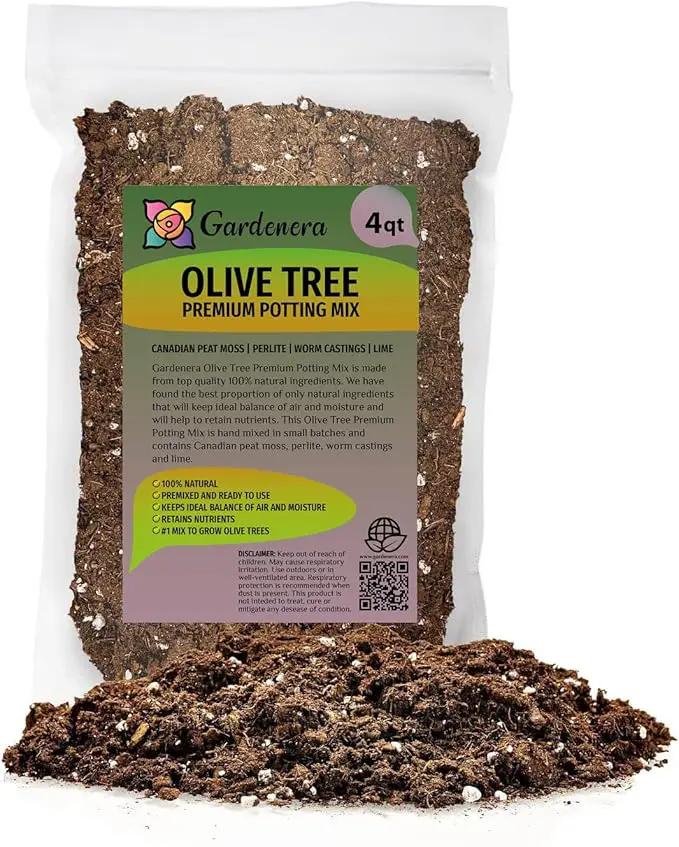 Olive Tree Premium Potting Mix - Create a Mediterranean Paradise in Your Backyard - 4 Quart by GreenHaven Gardens