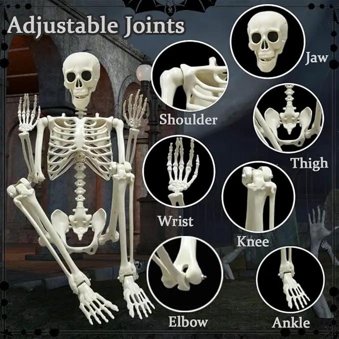 DINESIL 5.4ft/165cm Halloween Skeleton, Halloween Life Size Skeleton with Spider Pumpkin Bag, Full Body Human Bones with Movable Joints for Halloween Indoor Outdoor Haunted House Decorations by GreenHaven Gardens
