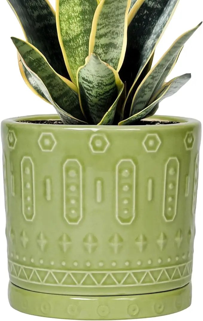 Ceramic Pot for Plants - 6 Inch Indoor Planter with Drainage Hole and Saucer, Round Decorative Flower Pots Outdoor, Boho Succulent Planter, Garden Home Decor, Gifts for Plant Lover, Green by GreenHaven Gardens