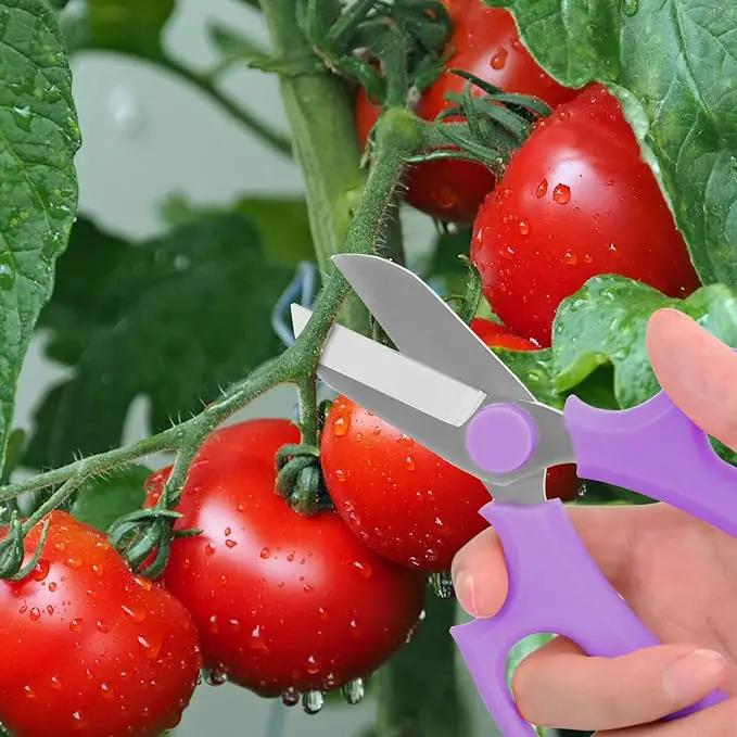Flower Scissors, Strong Floral Shears, Premium Steel Garden Pruning Shears Floral Fruits Leaf Scissors Hand Pruner Snip Trimming Tool for Gardening Flower Arrangement, Purple by GreenHaven Gardens