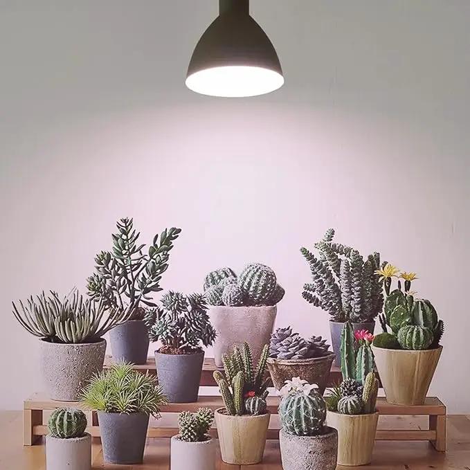 Smart LED Grow Light Bulbs with Remote Controller, Sun Simulation Mode, Built-in Auto Timer, A21/A70 E26/E27 9W Dimmable Full Spectrum Intelligent Plant Grow Bulbs for Indoor Plants, 6 Pack by GreenHaven Gardens