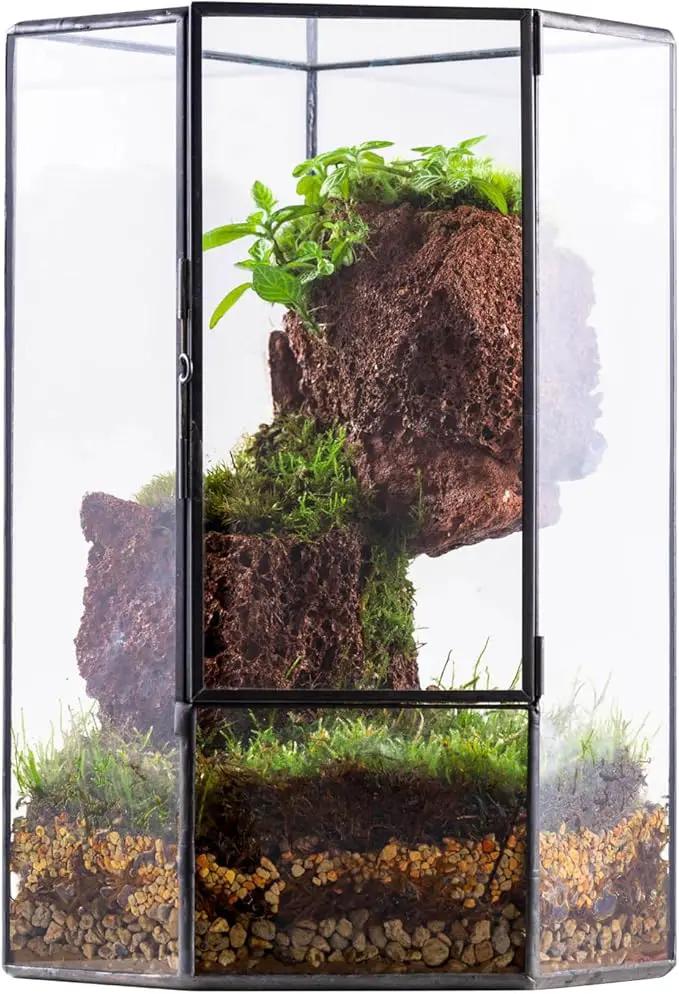 NCYP Front Opening Glass Terrarium with Door for Succulents, Small Plants - Closed Geometric Container Planter, Indoor Tabletop Wall Corner Landscape Decor, Black, 5" x 5" x 9.8" (Terrarium Only) by GreenHaven Gardens