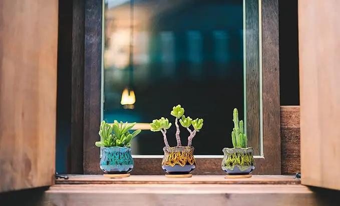 Cute Ceramic Succulent Garden Pots, Planter with Drainage and Attached Saucer, Set of 5 - Plants Not Included (Fambe) by GreenHaven Gardens