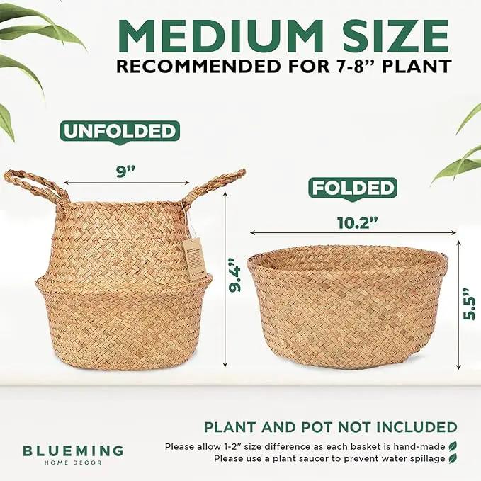 Tree Basket – Wicker Seagrass Planter for Tall Indoor Fake Olive House Plants, Decorative Rattan Baskets for 7-8 Inch Small Plant Pots (Original, Medium) by GreenHaven Gardens