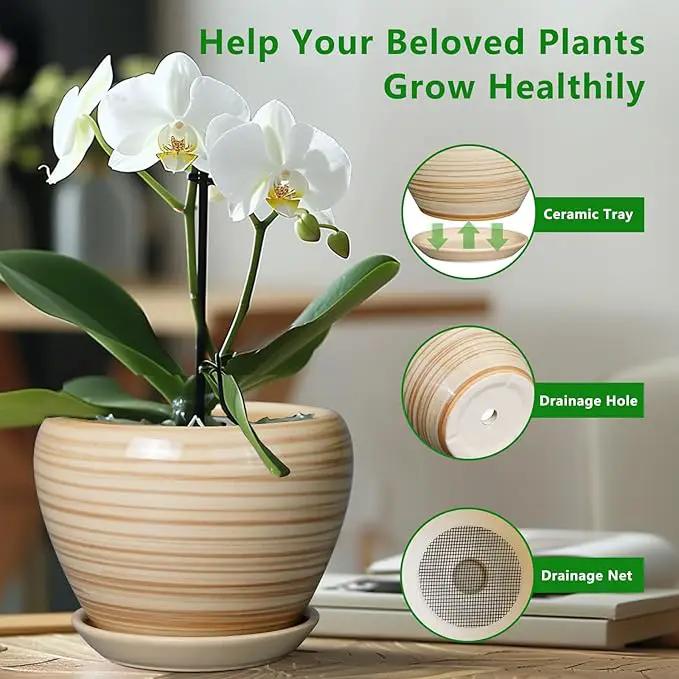 Planter 8 Inch - Indoor/Outdoor Ceramic Plant Pot With Drainage Hole and Saucer, Round Modern Flower Planter for Succulents, House, Patio - Yellow by GreenHaven Gardens