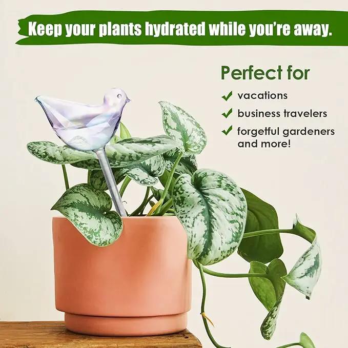 NiHome Glass Plant Self Watering Bulbs 3-Pack Iridescent Pearl Home Potted Planter Watering Bulbs Insert Decorative Devices Vacation Automatic Watering Spikes Indoor and Outdoor (Swan, Snail & Bird) by GreenHaven Gardens