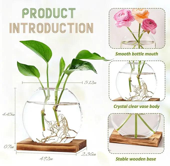 4 Pack Plant Propagation Station with Wooden Base Glass Terrariums for Indoor Plants Decorative Round Vases for Flowers Hydroponic Planter for Home Office Decor by GreenHaven Gardens