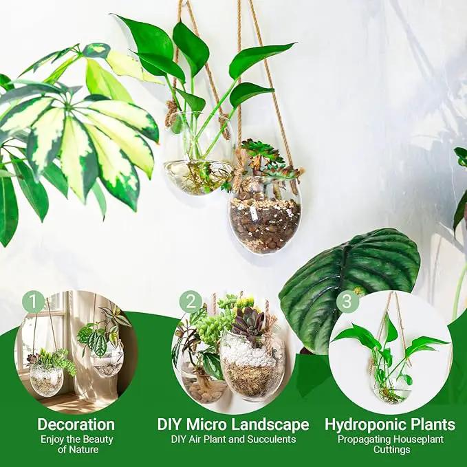 Wall Hanging Glass Planter Air Planter Terrarium Vase Propagation Stations for Hydroponic Plants, Succulent Moss Tillandsias Air Plants Globe,Home Office Garden Decor, Set of 2 by GreenHaven Gardens