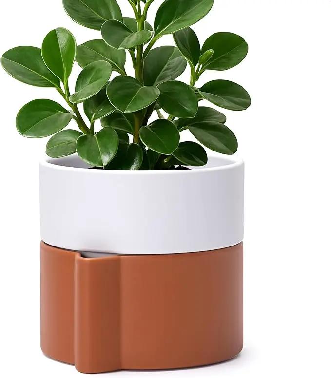 6.5 Inch Self-Watering Planter Pot with Terracotta Insert, Deep Water Reservoir, and Ceramic-Alike BPA-Free Plastic Pot for Plant, Modern Planter for Houseplants, Terracotta/White, 53-B-S-6 by GreenHaven Gardens