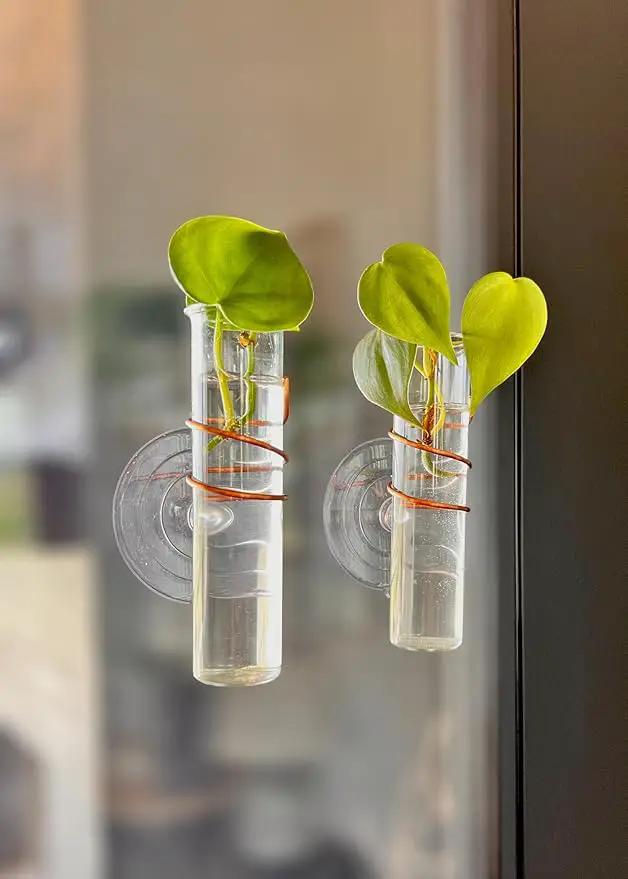 The Little Window Propagator | Window Propagation Station with Removable Glass Tubes, Indoor Plant Clippings, Cut Flowers, Herbs, Succulents | Home Decor | Plant Lover Gift (2) by GreenHaven Gardens