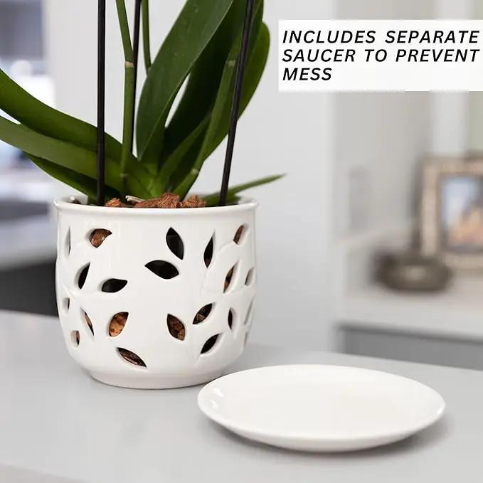 Orchid Pot with Holes & Saucer Ceramic 5.25 in. Indoor or Outdoor Large Pot for Orchid Care & Root Health with Precise Aeration & Drainage – Durable for Repotting or New Plants by GreenHaven Gardens