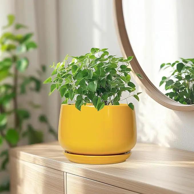 G EPGardening Ceramic Pots for Plants - 7 Inch Plant Pot with Drainage Hole and Saucer, Modern Ceramic Planter for Indoor Outdoor, Round Flower Planter, Gifts for Plants Lovers, Home Decor, Yellow by GreenHaven Gardens
