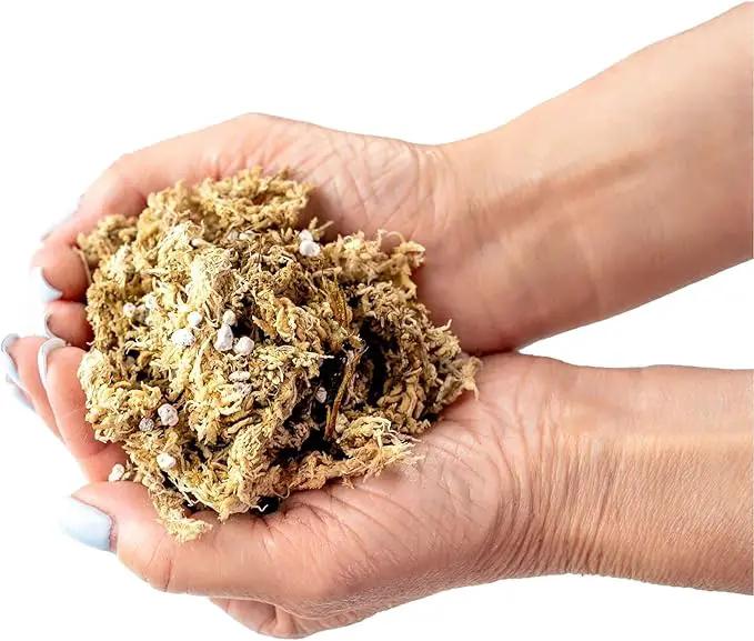 Sphagnum Moss Potting Mix for Carnivorous Plants, Moss and Perlite Blend for Potting Venus Fly Traps, Sarracenia, Pitcher Plants - 75% Sphagnum Moss + 25% Perlite - Made in USA - 4 Quart by GreenHaven Gardens