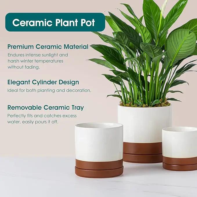 vancasso Ceramic Plant Pots, 3 Piece Planters for Indoor Plants, 4.25+5.25+6.25 Inch Flower Pots with Drainage, Plant Pots Indoor for Succulent, Pothos, Snake Plant and Money Tree, Etc (Khaki) by GreenHaven Gardens