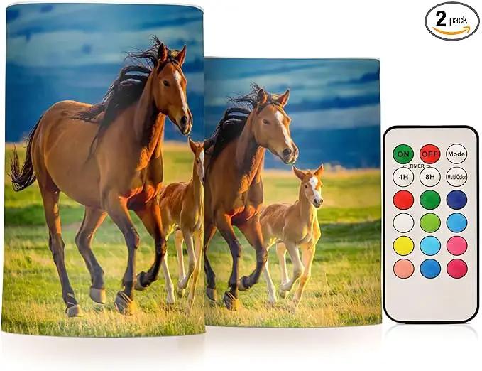 Flickering Flameless Candles, Beautiful Horses Summer Field LED Candles with Remote Timer, Set of 2 Battery Operated Candle for Valentine Wedding Birthday by GreenHaven Gardens