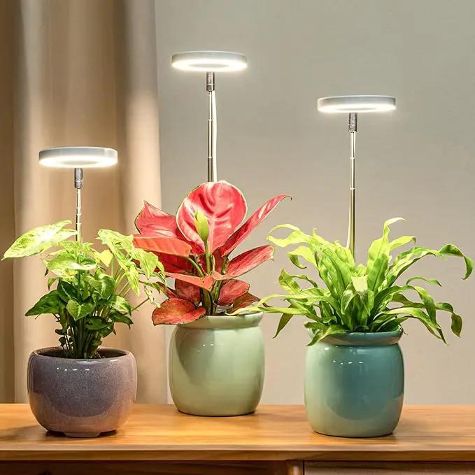 LORDEM Grow Light, Full Spectrum LED Plant Light for Indoor Plants, Height Adjustable Growing Lamp with Auto On/Off Timer 4/8/12H, 4 Dimmable Brightness, Ideal for Small Plants, 3 Packs by GreenHaven Gardens
