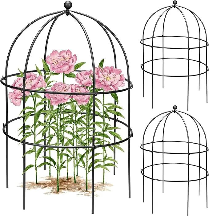 2 Pcs Jardin Bird Cage Plant Support 24" H Large Sturdy Grow-Through Flower Support Black Peony Plant Support Cage Climbing Plant Trellis Sculptural Garden Decor for Perennial Flowers Classic Black by GreenHaven Gardens